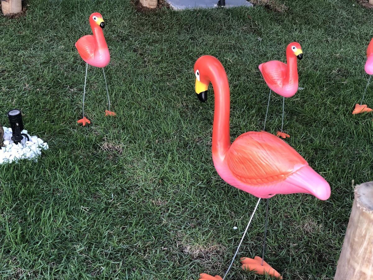 Flamingo Beach Pousada Cabo Frio Zewnętrze zdjęcie